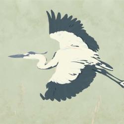 Heron Flying II | Obraz na stenu