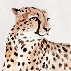 Saharan Cheetah I | Obraz na stenu
