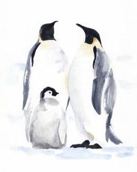 Emperor Penguins II | Obraz na stenu