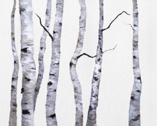 Birch Trees I | Obraz na stenu