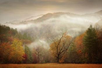Photography Study Autumn Mist | Obraz na stenu
