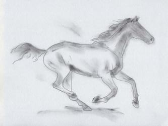 Smoke Stallion I | Obraz na stenu