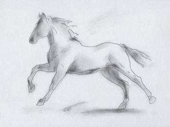 Smoke Stallion II | Obraz na stenu