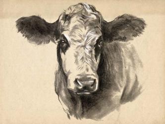 Charcoal Cow I | Obraz na stenu