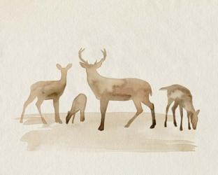 Whitetail Herd I | Obraz na stenu