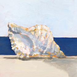 Shell By the Shore III | Obraz na stenu