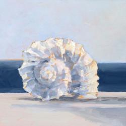 Shell By the Shore IV | Obraz na stenu