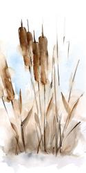 Watercolor Cattail Study I | Obraz na stenu