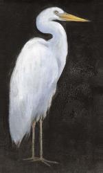 White Heron Portrait I | Obraz na stenu