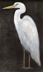 White Heron Portrait II | Obraz na stenu