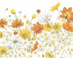 Sunny Wild Bouquet III | Obraz na stenu