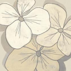 Beige Blooms III | Obraz na stenu