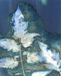 Cyanotype Leaves II | Obraz na stenu