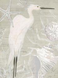 Driftwood Heron I | Obraz na stenu