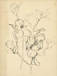 Contour Flower Sketch II | Obraz na stenu
