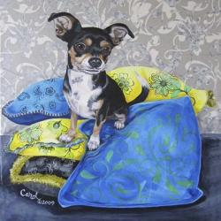 Chihuahua Pillows II | Obraz na stenu