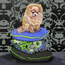 Pomeranian Pillows | Obraz na stenu