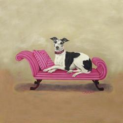 Italian Greyhound on Pink | Obraz na stenu