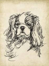 Breed Studies II | Obraz na stenu
