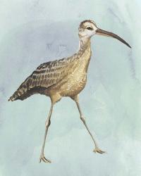 Watercolor Beach Bird II | Obraz na stenu