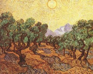 The Olive Trees, c.1889 | Obraz na stenu