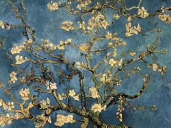 Blossoming Almond Tree, Saint-Remy, c.1890 | Obraz na stenu