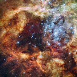 Hubble's Festive View of a Grand Star-Forming Region | Obraz na stenu