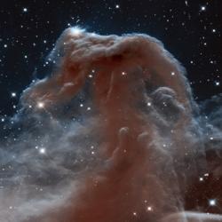 Hubble Sees a Horsehead of a Different Color | Obraz na stenu