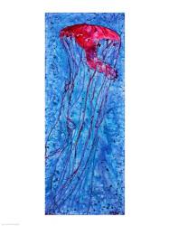 Jellyfish | Obraz na stenu
