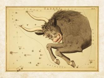 Taurus Zodiac Sign | Obraz na stenu