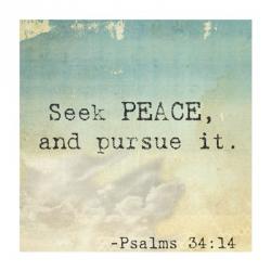 Seek Peace | Obraz na stenu
