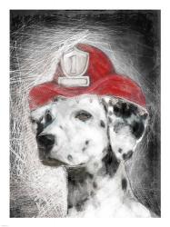 Firefighter Dalmation | Obraz na stenu
