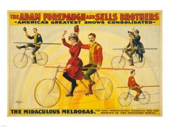 The Miraculous Melrosas | Obraz na stenu