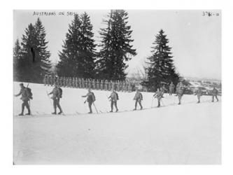 Austrians on Skis | Obraz na stenu