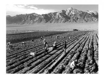 Farm Workers and Mt. Williamson | Obraz na stenu