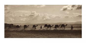 Egyptian Camel Transport | Obraz na stenu