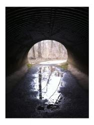 D&R Canal Towpath Tunnel | Obraz na stenu