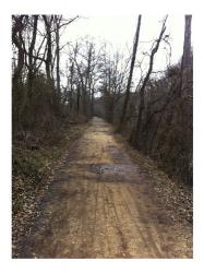 The Path Ahead | Obraz na stenu