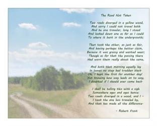 The Road Not Taken | Obraz na stenu