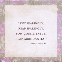 Sow Sparingly | Obraz na stenu