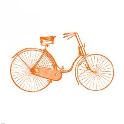 Orange On White Bicycle | Obraz na stenu