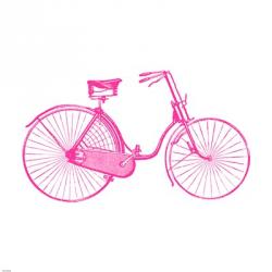 Pink On White Bicycle | Obraz na stenu