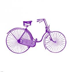 Purple On White Bicycle | Obraz na stenu