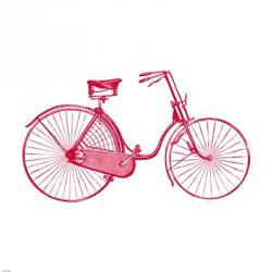 Red on White Bicycle | Obraz na stenu