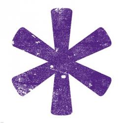 Purple Asterisk | Obraz na stenu