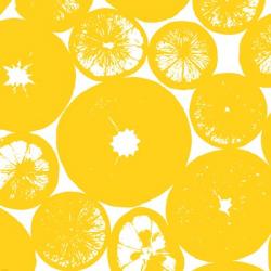 Yellow Lemon Slices | Obraz na stenu