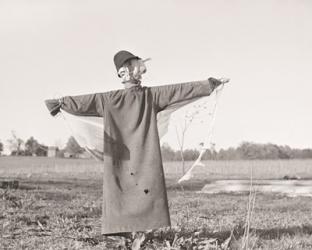 Scarecrow, North Carolina | Obraz na stenu