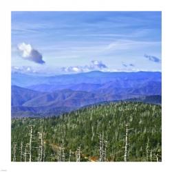 Great Smoky Mountains | Obraz na stenu