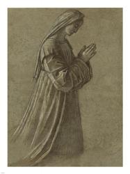 Study of the Virgin | Obraz na stenu