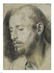 Study of the Head of a Bearded Man | Obraz na stenu